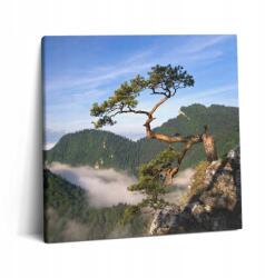 Wallfluent Vászonkép A dolgozószobába Klasszikus Sólyom Verekedés a habokban 60x60 (010030010270000075858)