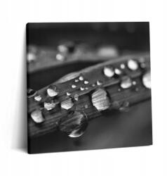 Wallfluent Vászonkép Canvas Otthonra Szerelésre Kész Levél Rosa Fekete-Fehér (010030010270000077306)