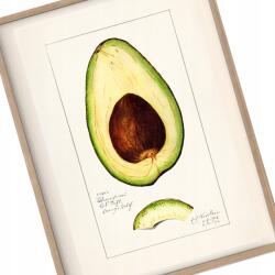  Avocado Konyha poszter Vintage kép A3