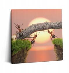 Wallfluent Canvas Vászonkép Irodába Inspiráló Hangyák a fatörzsön 60x60 cm (010030010270000075276)
