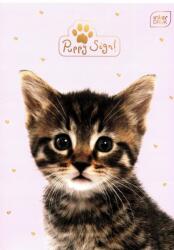 Interdruk A5-ös kockás füzet 16 lap Uv Puppy Sign 20 db mix (INTE2264)