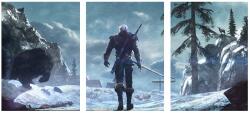 BELATONI Triptichon 3x falikép The Witcher 3 Wild Hunt, The Witcher 40x90 cm (WIEDŹMIN)