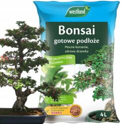 Westland Föld táptalaj fa Bonsai ficus Seramis 4L (PODŁOŻE BONSAI)
