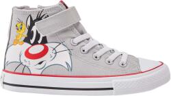 Looney Tunes Robins Sylvester (s22-122544)