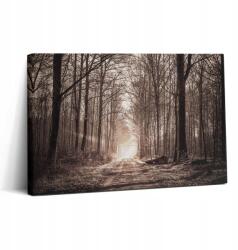 Wallfluent Vászonkép Canvas Vászon Keret Fa Otthon Loft Erdei Ösvény Szépia 30x20 cm (010030010150000074855)