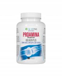 Colyfine Proamin Kollagén Plus kollagén kapszula 100 db Colyfine