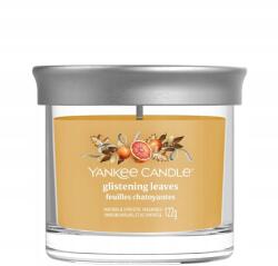 Yankee Candle illatosító pohár, kicsi, 122 g (2652628E)