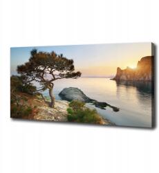 Tulup Vászonkép Fa a tengerparton 125x50 cm (pl-oc-125x50-f-45630675)