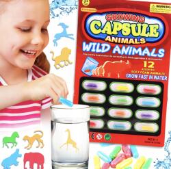 Vízi Kapszulák Vízben Növekvő Szafari Állatok Szett 12DB-OS El Játék (KAPSUŁKI MAGICZNE ROSNĄCE w wodzie)