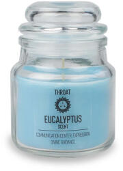 Myga Természetes szójagyertya myga Eukaliptusz (RY1297)