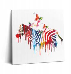 Wallfluent Fotó-Vászonkép Canvas Ökológiai Szoba Színes Zebra 60x60 cm (010030010270000075039)