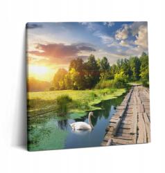 Wallfluent Fotó-Vászonkép Canvas Falra Szoba Hattyú Naplementekor (010030010270000075055)