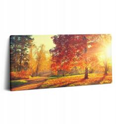 Wallfluent Canvas Vászonkép Irodába Klasszikus Őszi Park 100x50 cm (010030010010000074869)