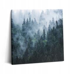 Wallfluent Fotó Vászonkép Canvas Otthonra Stílusos Ajándék Ködös Hegyi Tájkép 60x60 (010030010270000074703)