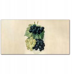 Coloray Vászonkép Gyümölcsök szőlő levelek 100x50 cm (010030010010000018085)