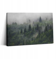 Wallfluent Vászonkép Canvas Nappaliba Inspiráló Tájkép Erdő A Ködben 30x20 cm (010030010150000276803)