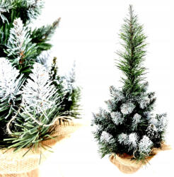  Karácsonyfa Kis Fenyő Kis Karácsonyfa Fa Törzs Kúp 50 CM Élő (Choinka/50cm)