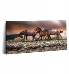 Wallfluent Vászonkép Canvas Falra A dolgozószobába Száguldó Lovak 100x50 (010030010010000276845)