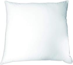Dodo Pamut párna 60 x 60 cm (B00CE2WS2K)