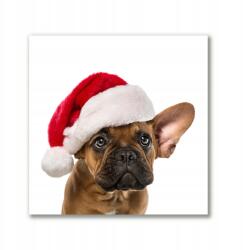Tulup Canvas fotó 50x50 Bulldog Kutya Karácsony (ock-50x50-120567800)