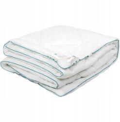 PaemiHome Aloe Vera paplan 160x200 Antiallergén Könnyű, Meleg, Pamut 100% (Kołdra 160x200 Aloesowa Całoroczna)