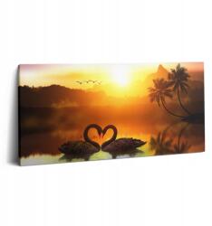 Wallfluent Fotó Fali Vászonkép Gyönyörű Fekete Hattyú A Tónál 100x50 cm (010030010010000075171)