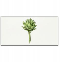 Coloray Vászon falikép Növények virágai 100x50 cm (010030010010000018025)