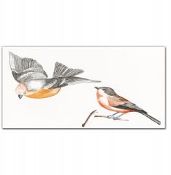 Coloray Vászonkép Állat madár ág 100x50 cm (010030010010000018127)