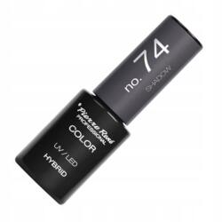 Pierre René PROFESSIONAL Pierre Rene 74 hybrid csillagos szürke