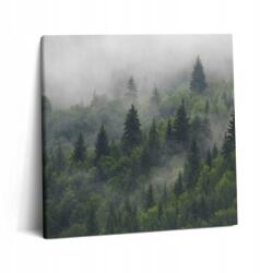 Wallfluent Vászonkép Canvas Hálószoba Ajándék Ötlet Tájkép Erdő A Ködben (010030010270000276803)