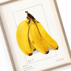  Konyha poszter Vintage Banán Retro A3