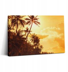 Wallfluent Vászonkép Canvas Könnyű Összeszerelés Irodába Napsütötte pálmafák a tengerparton 30x20 cm (010030010150000075306)