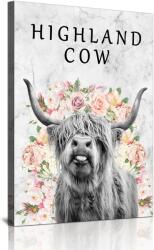  Vászonkép Poszter Dekoráció 40x30 Skót felföldi fajta tehén Highland Cow (40x30)