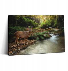 Wallfluent Fotó Vászonkép Canvas Vállon Irodába Trópusi Patak És Szarvas 30x20 cm (010030010150000075278)