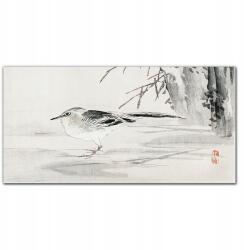 Coloray Vászonkép Fa állat madár veréb 100x50 (010030010010000017993)