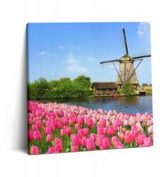 Wallfluent Vászonkép Canvas Előszoba Hobbi Holland Szélmalom Virágokkal (010030010270000076016)