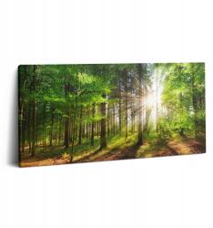 Wallfluent Vászonkép Canvas Előszoba Keret Fa Erdő és Napfelkelte (010030010010000028325)