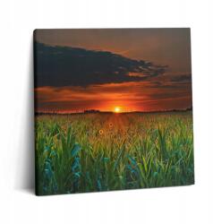 Wallfluent Vászonkép Canvas Felakasztható Az Irodába Napraforgók A Réten 60x60 cm (010030010270000075536)