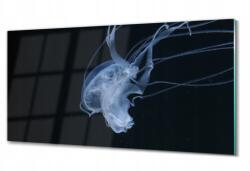 ArtprintCave Üvegfestmény grafika Medúza tenger óceán 100x50 (010010010010100037332)