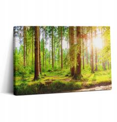 Wallfluent Vászonkép Canvas Szoba Grafika Erdő a nap sugaraiban 30x20 cm (010030010150000276799)