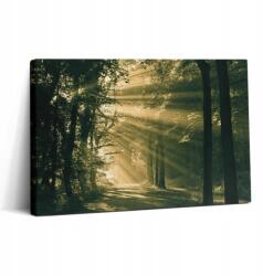 Wallfluent Fotó Vászonkép Nappaliba Fa kerettel Napsugarak az erdőben (010030010150000074867)