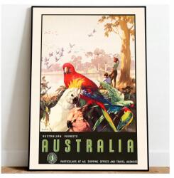  Utazó poszter Papagájok Ausztrália Vintage A3 (Plakat Podróżniczy Podróże Vintage)