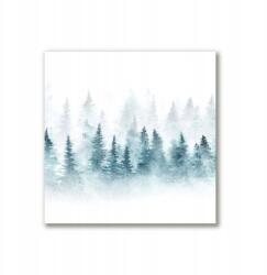 Tulup Canvas 40x40 ajándék Erdő Karácsonyfa Hó (ock-40x40-293361028)