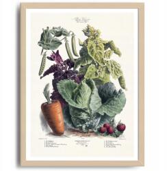  Poszter a konyhába Zöldségek Vintage kép A3 (O13 Plakat do Kuchni Vintage A3)