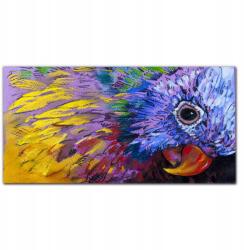 Coloray Vászon falikép Állat papagáj 100x50 cm (010030010010000018749)