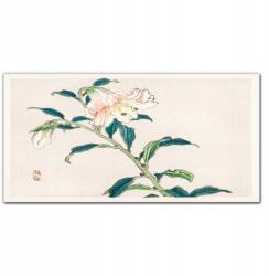 Coloray Vászon falikép Ázsiai virágok 100x50 cm (010030010010000018000)