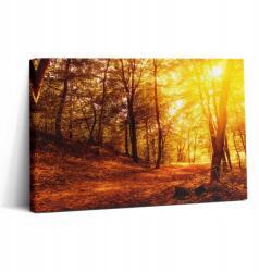 Wallfluent Fotótapéta Gyors összeszerelés Hálószobába Napnyugta Ősz 30x20 cm (010030010150000075092)