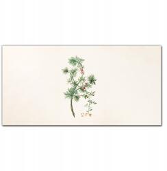 Coloray Vászon falikép Növények ága 100x50 cm (010030010010000018267)