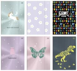 Interdruk 47. Gumis mappa A4 Interdruk Metallic (259035)