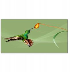 Coloray Fali vászonkép Állat madár 100x50 (010030010010000018659)